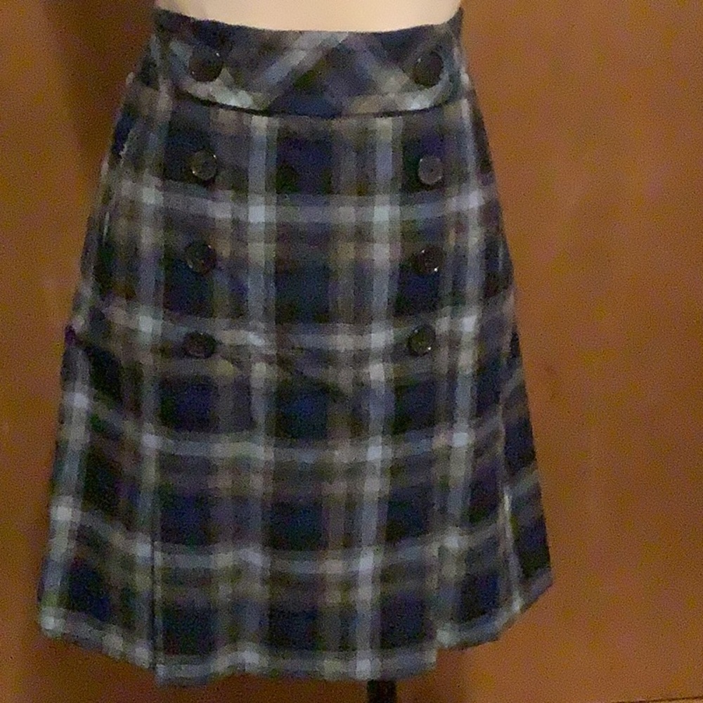 Ann Taylor skirt